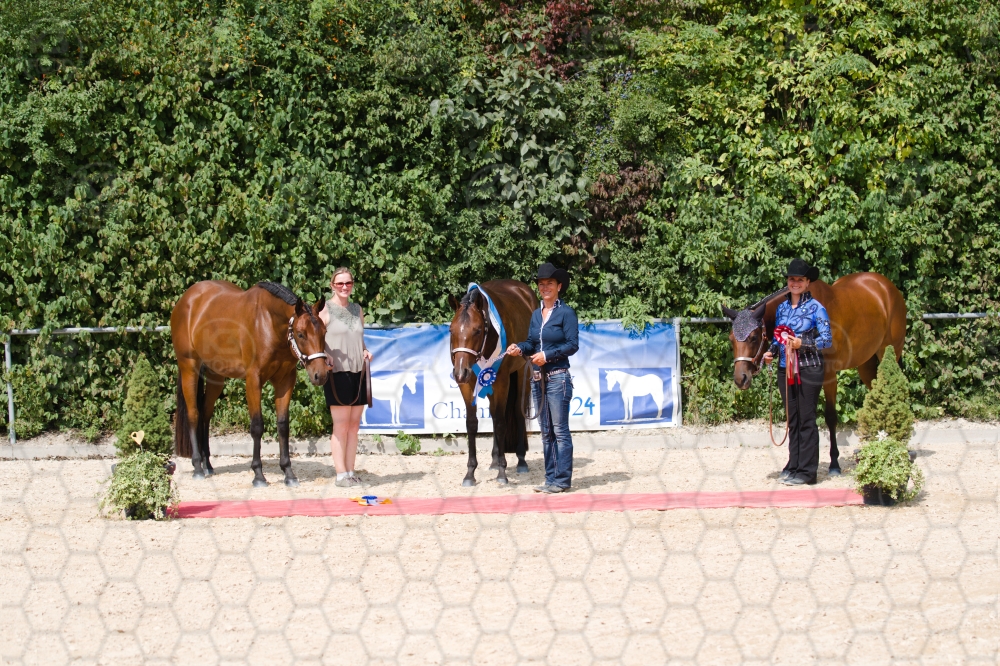 s_batch_A9_00126.jpg